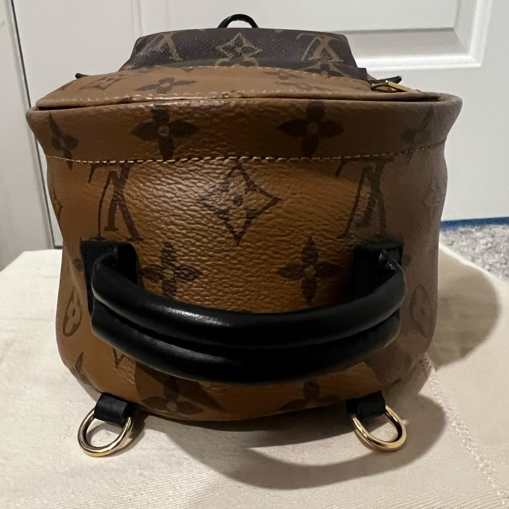 Louis Vuitton Palm Springs Mini Backpack - Picture 14 of 14